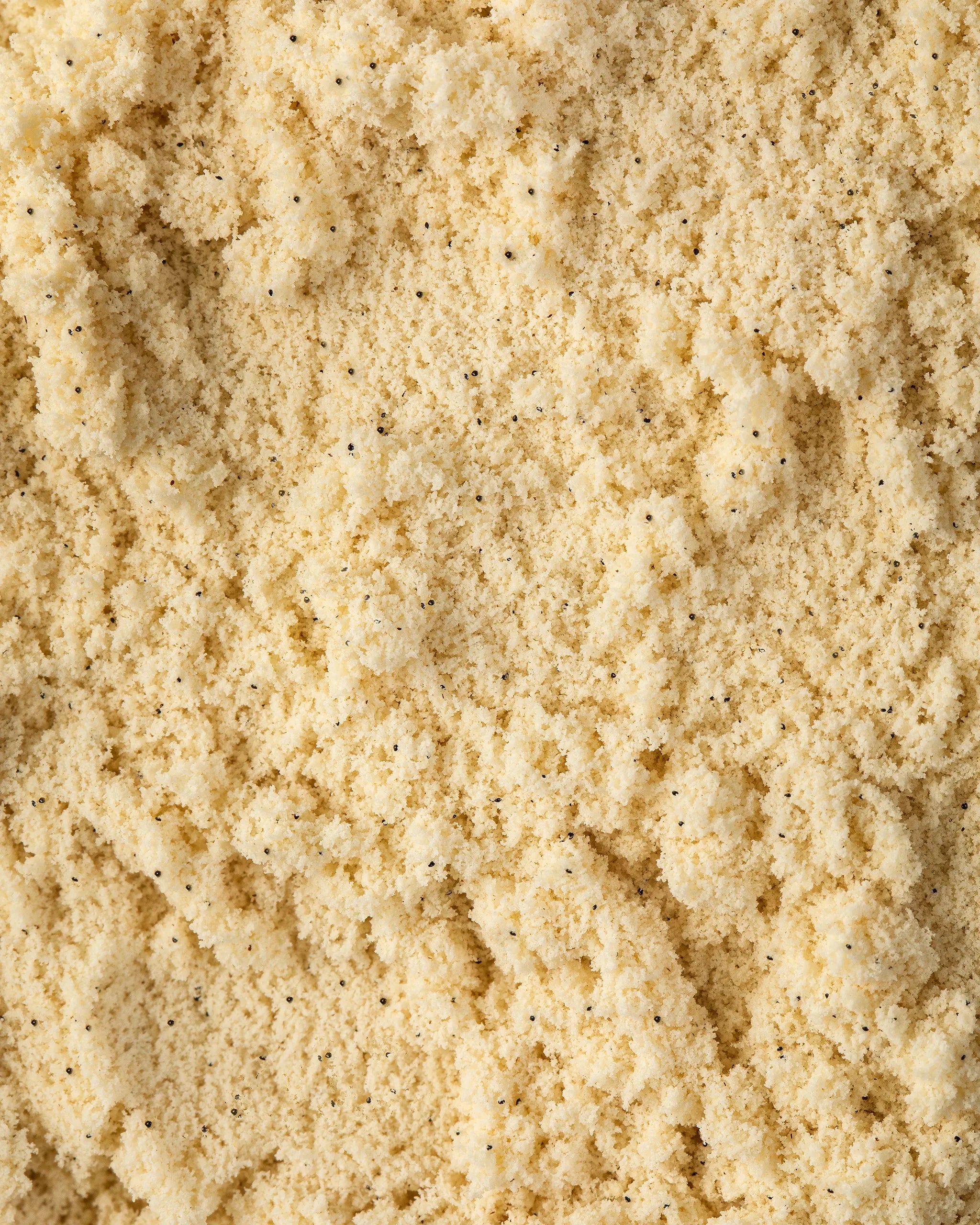 A close up view of the BearWell Chocolate Mousse flavoured whey protein powder